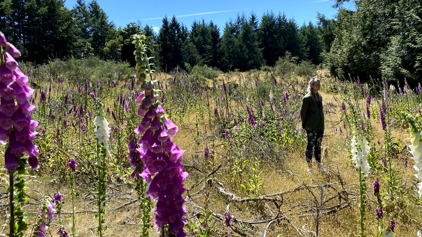 A person standing in a field surrounded by wildflowers